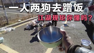 一人两狗集体去蹭吃蹭喝，出门在外蹭饭的江湖规矩一定要遵守【在路上1799】