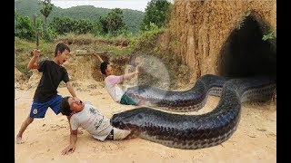 Primitive Technology: Simple DIY Python Snake Trap Using Real hands Catched That Work 100%
