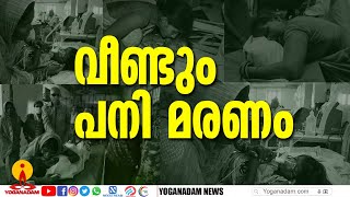 രണ്ടുപേർകൂടി പനിക്ക് കീഴടങ്ങി; സ്ഥിതിഗതികൾ അതീവ ഗുരുതരം | Kerala Fever Spike |