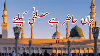 JAN hazir Hai MUSTAFA k Liye Mashoor NAAT |صلی اللہ علیہ وآلہ وسلم ❤|#naat #trending #viralnaat