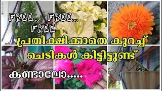 എങ്ങനെ ഫ്രീ ആയി ചെടികൾ കിട്ടി??  ചെടികൾ കാണാം... Plant Gift||Plant Haul