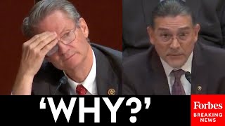 'Are Illegal Immigrants Counted In The U.S. Census?': Tim Burchett Grills Census Director
