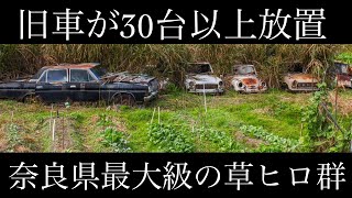 奈良県某所の大量に放置された旧車達　奈良県草ヒロ探検