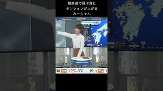 【戸北美月】超高速で飛ぶ鳥にテンションが上がるみーちゃん [2022.3.7]