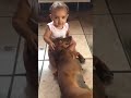 Dog’s Affectionate Gesture towards a Little Girl