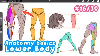 how to draw Legs and Lower Body (Beginner to Pro)  | Full Drawing Tutorial - Art Bootcamp #16/30