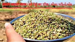 ઘઉંનો પોંક | गेहूं का पोंक | Green Wheat Ponk