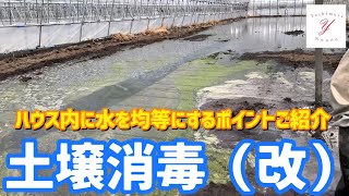 「いちご栽培 いちご農家」土壌消毒（改）ハウス内に水を均等にする方法ご紹介