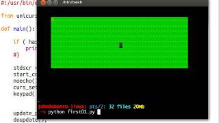 Python [curses] 12 Safety First