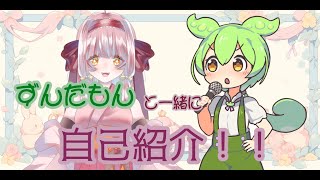 【自己紹介】ずんだもんと一緒に自己紹介動画撮ってみた！！【咲良ノア】