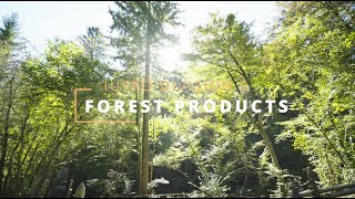 IUFRO Division 5 - Forest Products - Short Overview