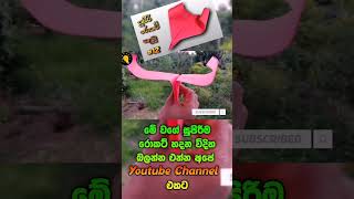 paper rocket | රොකට් හදමු  | paper airplane making | paper boomerang plane | ninja star |