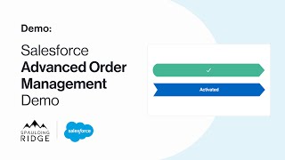 Salesforce Advanced Order Management Demo