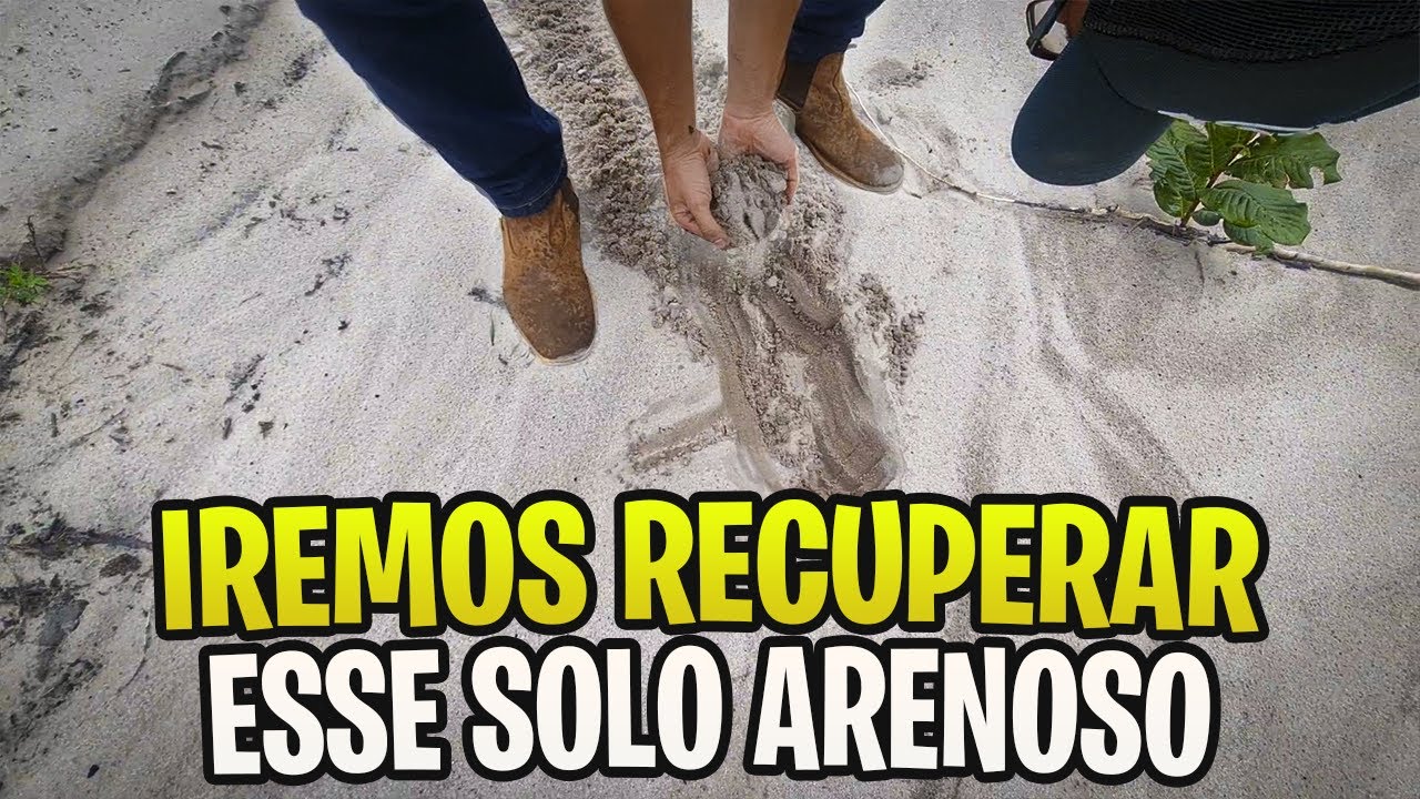 COMO RECUPERAR SOLO ARENOSO - YouTube