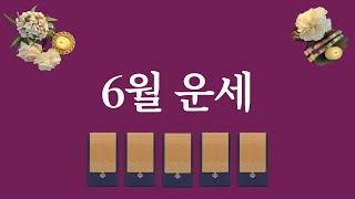 6월 운세(feat.6월에 있을 좋은 일⭐️)