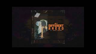 Jae.T - Different Breed ft. Daniel Bukuru [Lyric Music Video]