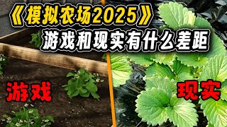 【模拟农场25】游戏中的温室草莓种植和现实中的一样吗？