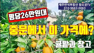 [매물번호 241109 / 가격인하, 추천매물] 중문에서 이 가격을 보셨나요? / 귤밭과 창고