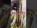 A quality miswak sunnat e rasool piluri miswak