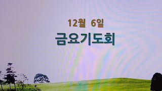 너의 행한대로 (겔33:10-20) 20241206 금요기도회