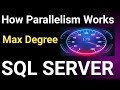 Max Degree of parallelism || How does Max Degree of Parallelism work in SQL Server?