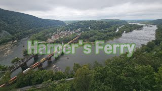 Maryland Heights Harper's Ferry WV 산딸기 pawpaw 깻잎 머루 며느리배꼽