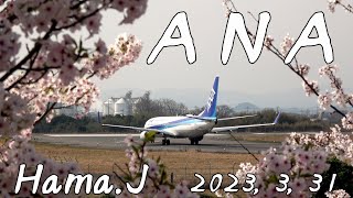 今日のＡＮＡさん（米子空港）２０２３，３，３１