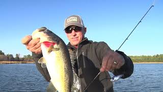 Clark Wendlandt Discusses the Strike King Red Eyed Shad