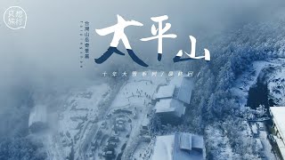 太平山十年大雪　異世界美景獨家全紀錄 | 台灣新聞 Taiwan 蘋果新聞網