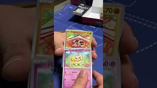 【ポケカ】【開封動画】こんチャンネル　プレゼント企画実施中　スカーレット　ポケモン　ポケモンカード　pokémon　pokémoncards 開封　プレゼント　バイオレット