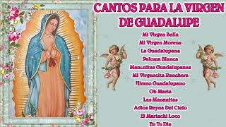 La Virgen De Guadalupe 2023💐Cantos Para La Virgen De Guadalupe 💐Canciones A La Virgen De Guadalupe