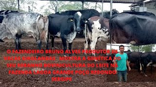 BRUNO ALVES FALA DA GENÉTICA NA FAZENDA LAGOA GRANDE