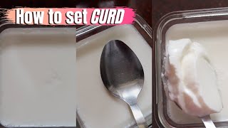 How to set CURD at home | Thick and Creamy Dahi tip #shorts