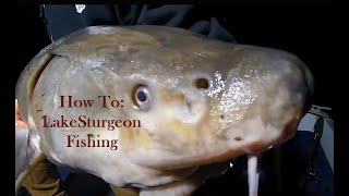 How To Sturgeon Fish (Lake Sturgeon Fishing Explained)