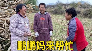 公公拉秸秆，婆婆半路碰见鹏妈来帮忙，临走送几个北瓜高兴抱回家【姑嫂一家亲】