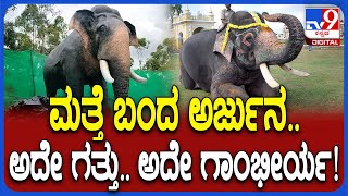 Arjuna Elephant ಸಮಾಧಿ ಬಳಿ ಸುಂದರ ಮೂರ್ತಿ ನಿರ್ಮಾಣ.. 10 ಕಲಾವಿದರ ಎರಡೂವರೆ ತಿಂಗಳ ಶ್ರಮ ಕೊನೆಗೂ ಯಶಸ್ವಿ| #TV9D