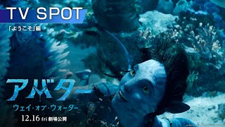 映画『アバター：ウェイ・オブ・ウォーター』スポット「ようこそ」編 12月16日（金）劇場公開