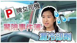 新手女司機驚險事件薄：Toyota Spade漏冷卻液？！｜周太車訊