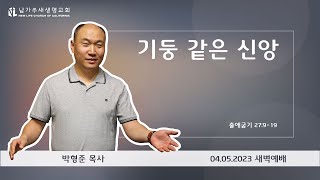 [출애굽기 강해 74] 기둥 같은 신앙 (출 27:9-19) - 2023.04.05 새벽예배