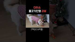 고양이 장난감 강아지한테 줬더니../ 다이소 장난감 리뷰(진돗개 곰이)#shorts