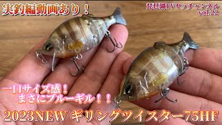 【バス釣り】2023NEW ギリングツイスター75HF！実釣編動画あり！琵琶湖＆五三川！