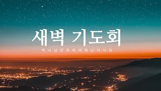 [새벽기도회] 25년 3월 5일/ 정대원 담임목사