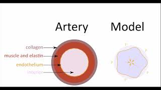 Pressure-driven wrinkling of soft inner-lined tubes