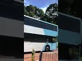 A brand new T80 bus Volvo B8L gemilang eco mo8196 #shorts #sydneybuses