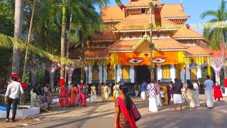 തൃശ്ശൂർ ഒളരിക്കര ഭഗവതിക്ഷേത്ര താലപൊലി 2025 | Olarikkara Temple Vela ✨✨