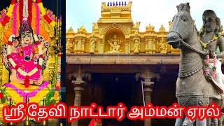 ஸ்ரீ தேவி நாட்டார் கொண்ட அம்மன் கோவில் Shri Devi Nattar Konda Amman Temple #Top10Sutrula #Eral