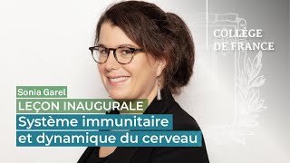 Système immunitaire et dynamique du cerveau - Sonia Garel (2021)