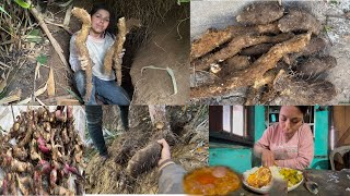 Aju Bun Tarul Ghar Tarul Khanda Kati Payo Wow || Rural Life In Village Vlog ||