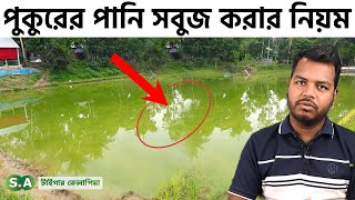 পুকুরের পানি সবুজ করার নিয়ম || How to make Pond Water Green || #shakibagro