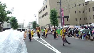 TAICHI with 白虎連　銭形よさこい2019中央町会場